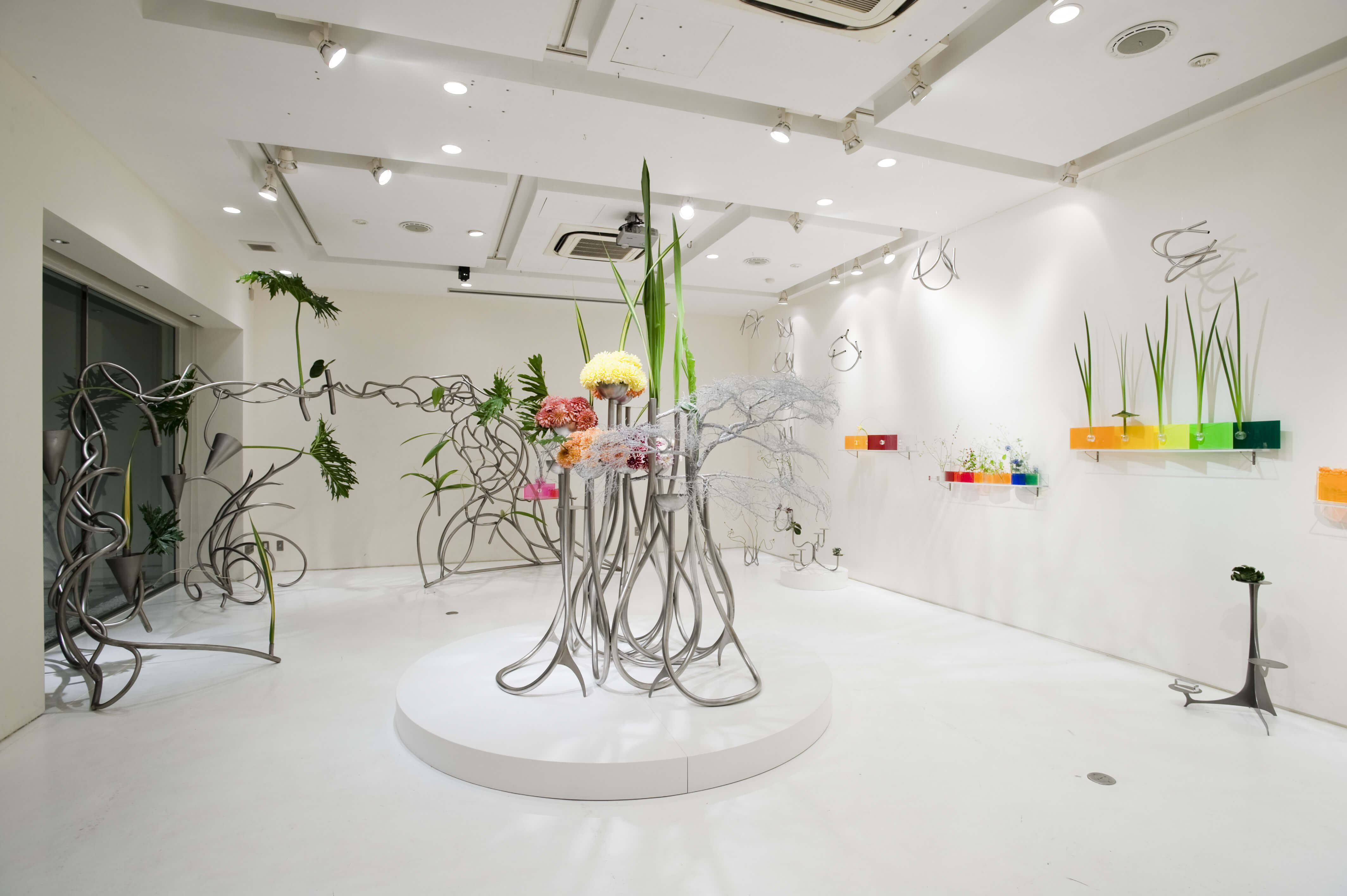 2012年個展の画像